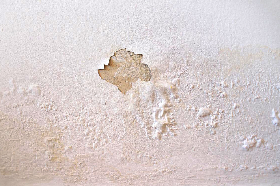Image-03 Putty Foaming